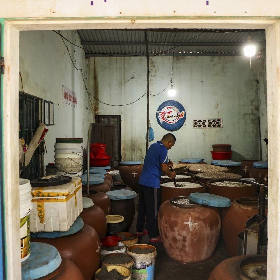 Climate change and overfishing threaten Vietnam’s ancient tradition of making fish sauce